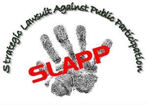 Claim for Breach of Non-Compete Agreement Survives Anti-SLAPP Motion to Dismiss